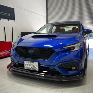 PLM-SUB-VB-CF-LIP-FR