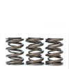 Skunk2 Tuner Series Honda/Acura (H22A/F20B) DOHC VTEC Alpha Valve Spring Set (Dual Springs)