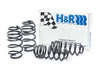 H&R 12-15 Volkswagen Passat Sedan 2.5L/1.8T/TDI Sport Spring